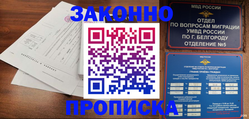 прописка в Вольске